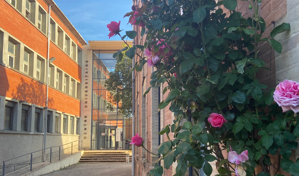 Centre universitaire - Montauban